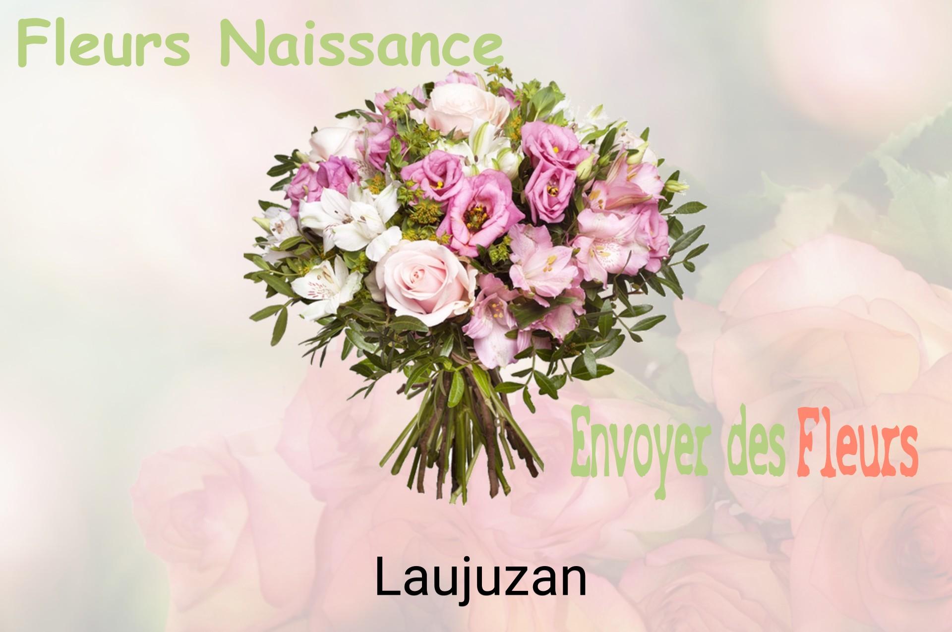 Bouquet de fleurs de naissance livré à Laujuzan